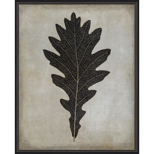 Oak Leaf Framed Print