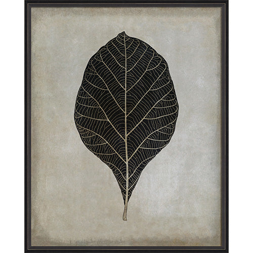 Teak Leaf Framed Print