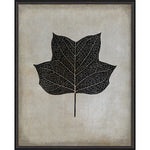 Tulip Tree Leaf Framed Print