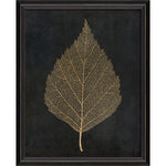 Birch Leaf Gold on Black Framed Print