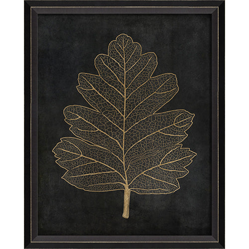 Hawthorn Leaf Gold on Black Framed Print