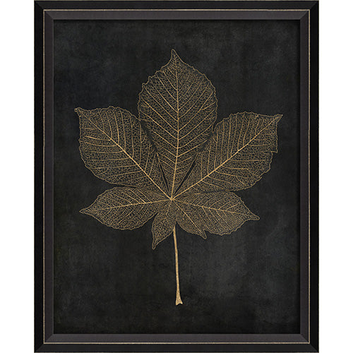 Horse Chestnut Leaf Gold on Black Framed Print