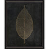 Leaf No 3 Gold on Black Framed Print