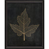 Maple Leaf No 1 Gold on Black Framed Print