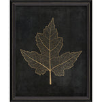 Maple Leaf No 1 Gold on Black Framed Print