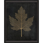 Maple Leaf No 2 Gold on Black Framed Print