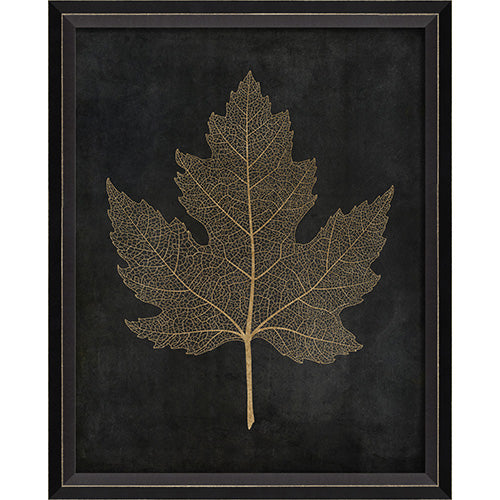 Maple Leaf No 2 Gold on Black Framed Print