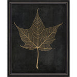 Maple Leaf No 3 Gold on Black Framed Print