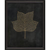 Tulip Tree Leaf Gold on Black Framed Print