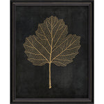 Viburnum Opulus Gold on Black Framed Print