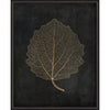 Aspen Leaf Gold on Black Framed Print
