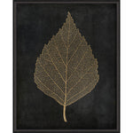 Birch Leaf Gold on Black Framed Print