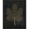 Fig Leaf Gold on Black Framed Print