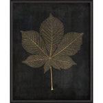 Horse Chestnut Leaf Gold on Black Framed Print
