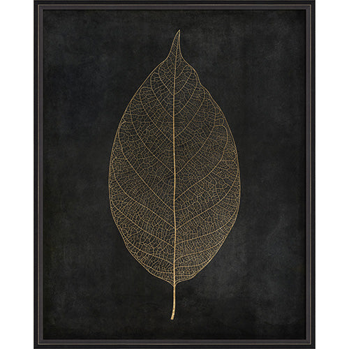 Leaf No 3 Gold on Black Framed Print