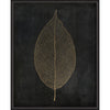 Leaf No 3 Gold on Black Framed Print
