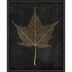 Maple Leaf No 3 Gold on Black Framed Print