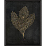 Sassafras Leaf Gold on Black Framed Print