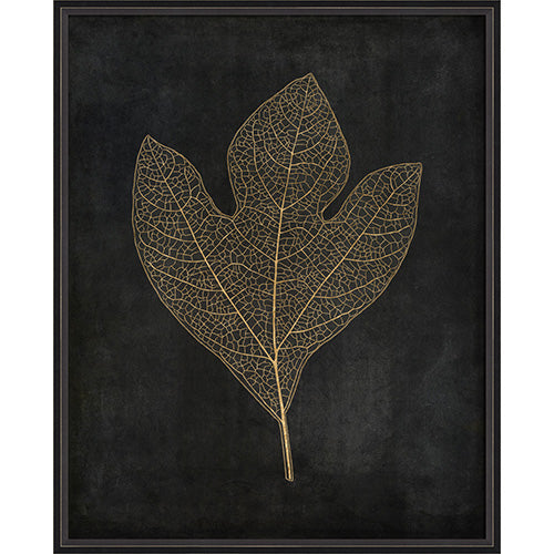Sassafras Leaf Gold on Black Framed Print