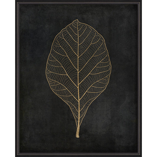 Teak Leaf Gold on Black Framed Print