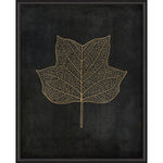 Tulip Tree Leaf Gold on Black Framed Print