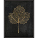 Viburnum Opulus Gold on Black Framed Print