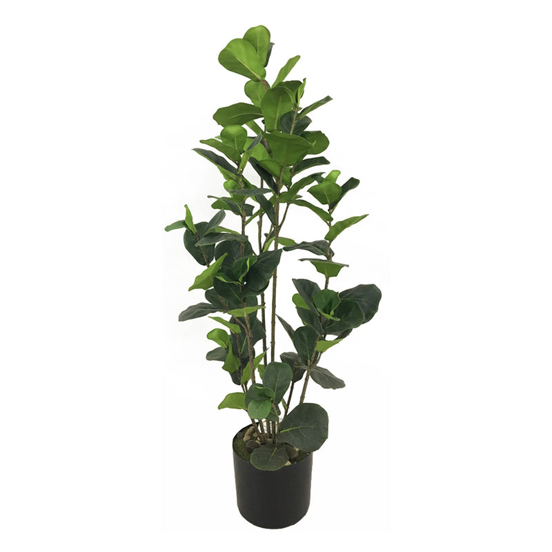 Ficus Faux Plant