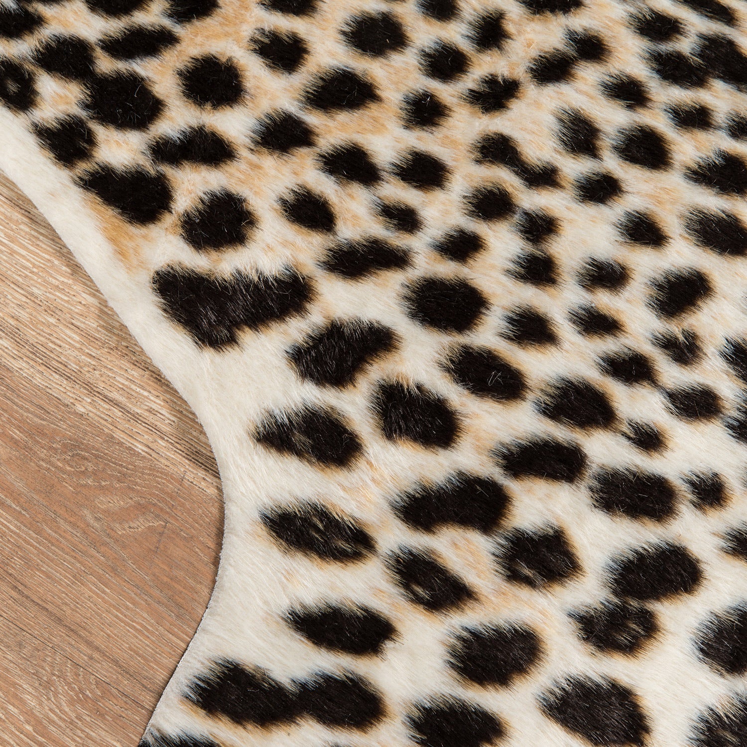 Safari Cheetah Machine Made Rug – Paynes Gray