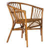 Hickey Rattan Accent Chair Set of 2