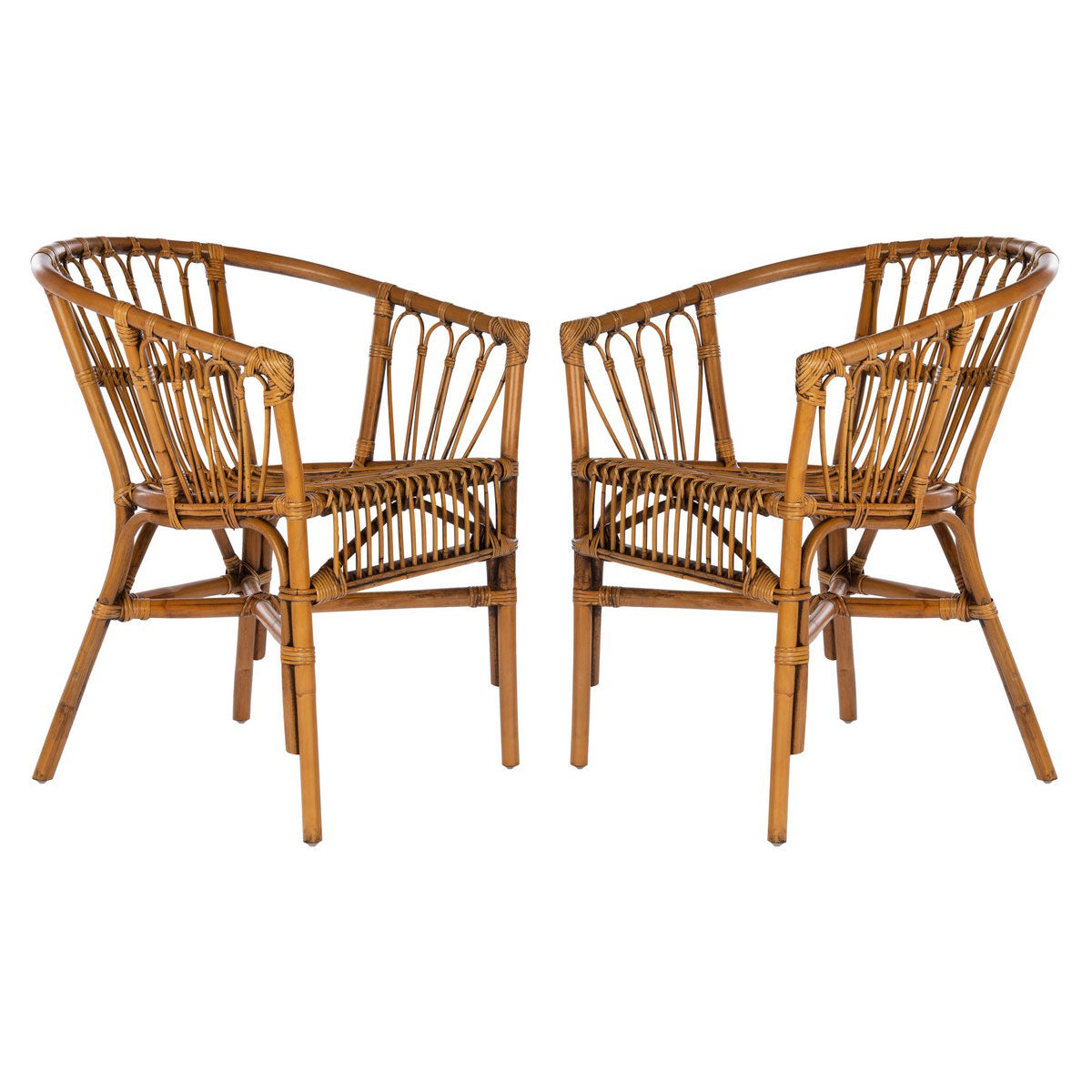 Hickey Rattan Accent Chair Set of 2