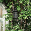Troy Lake County Exterior Wall Sconce