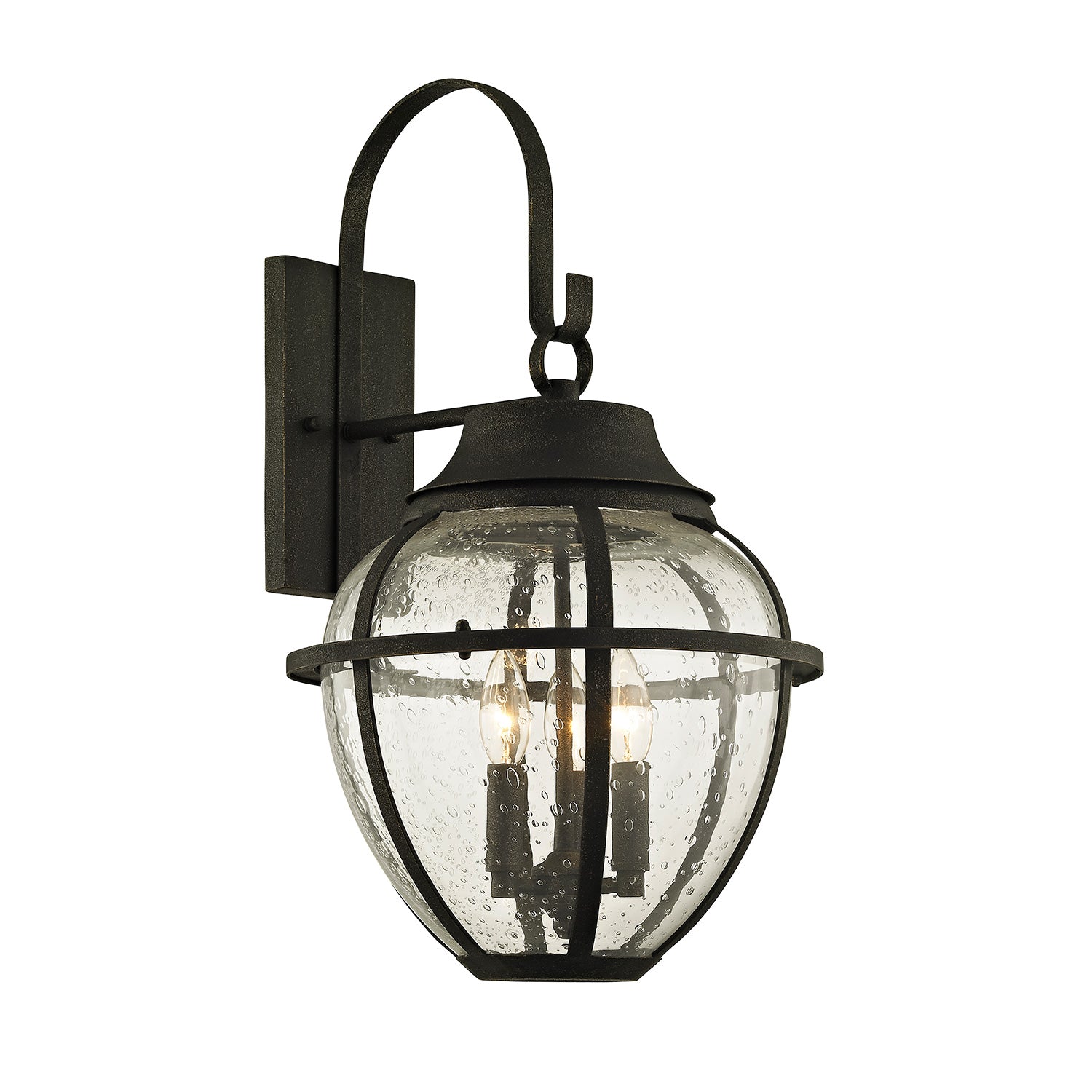 Troy Lighting Bunker Hill Hanging Lantern Outdoor Wall Sconce