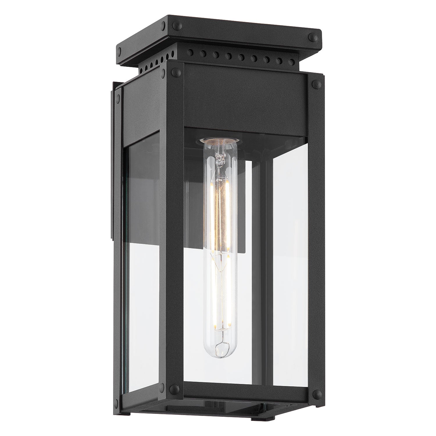 Troy Lighting Braydan Exterior Wall Sconce