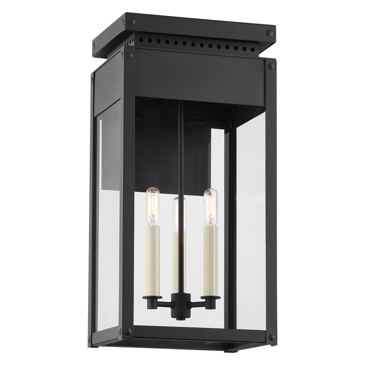 Troy Lighting Braydan Exterior Wall Sconce