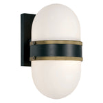 Brian Patrick Flynn For Crystorama Capsule Outdoor Wall Sconce