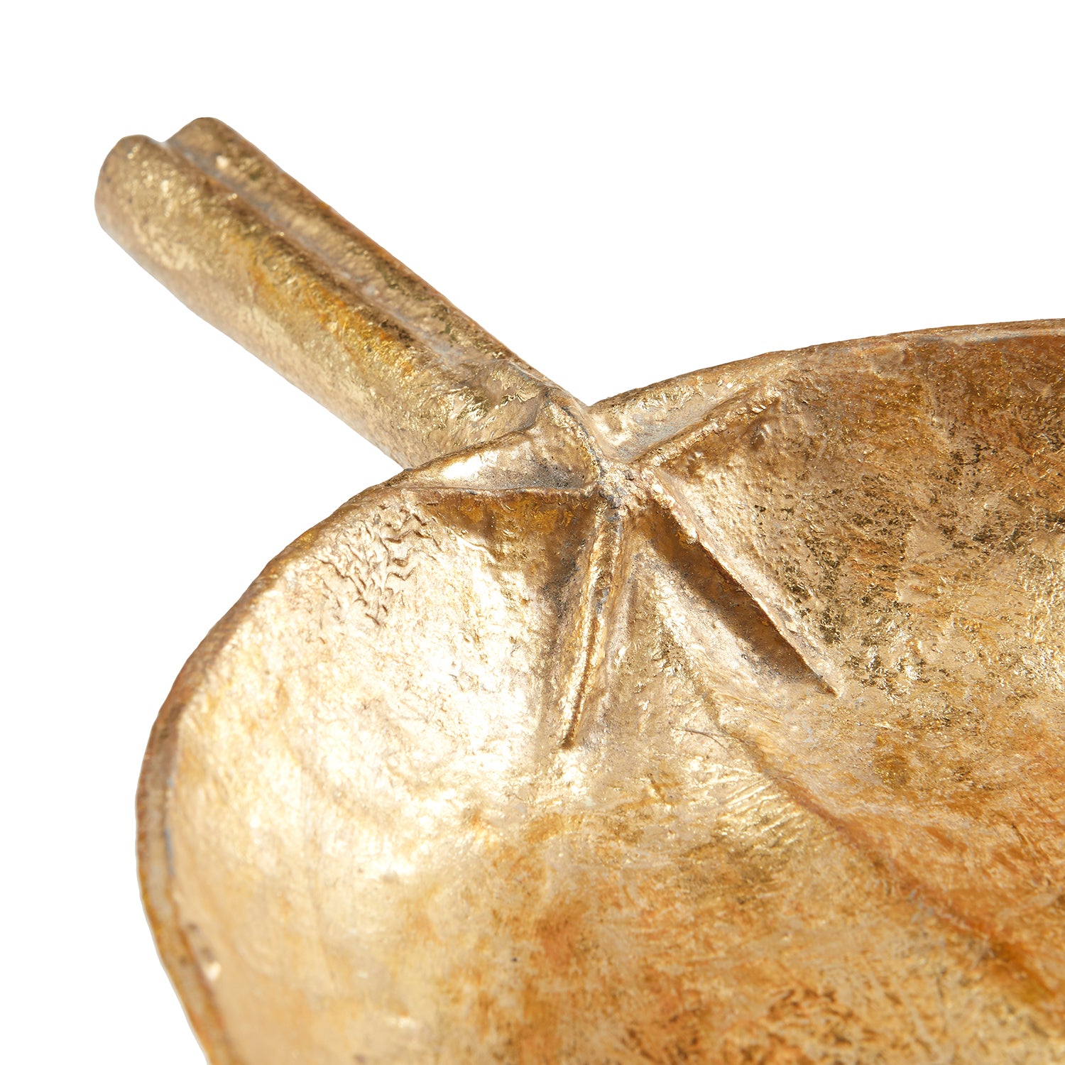 Villa and House Clovis Plate