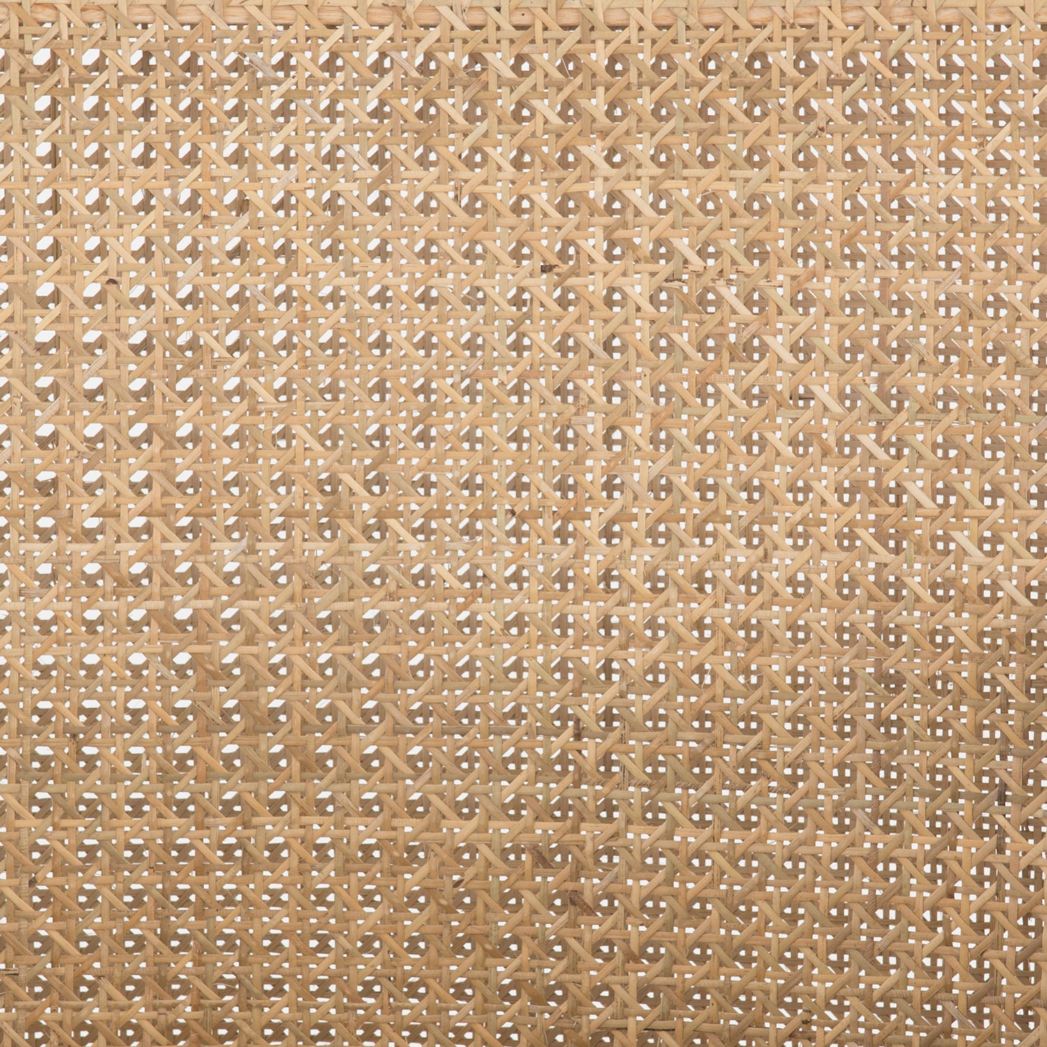 Four Hands Antonia Cane Dining Arm Chair Set of 2 - Final Sale