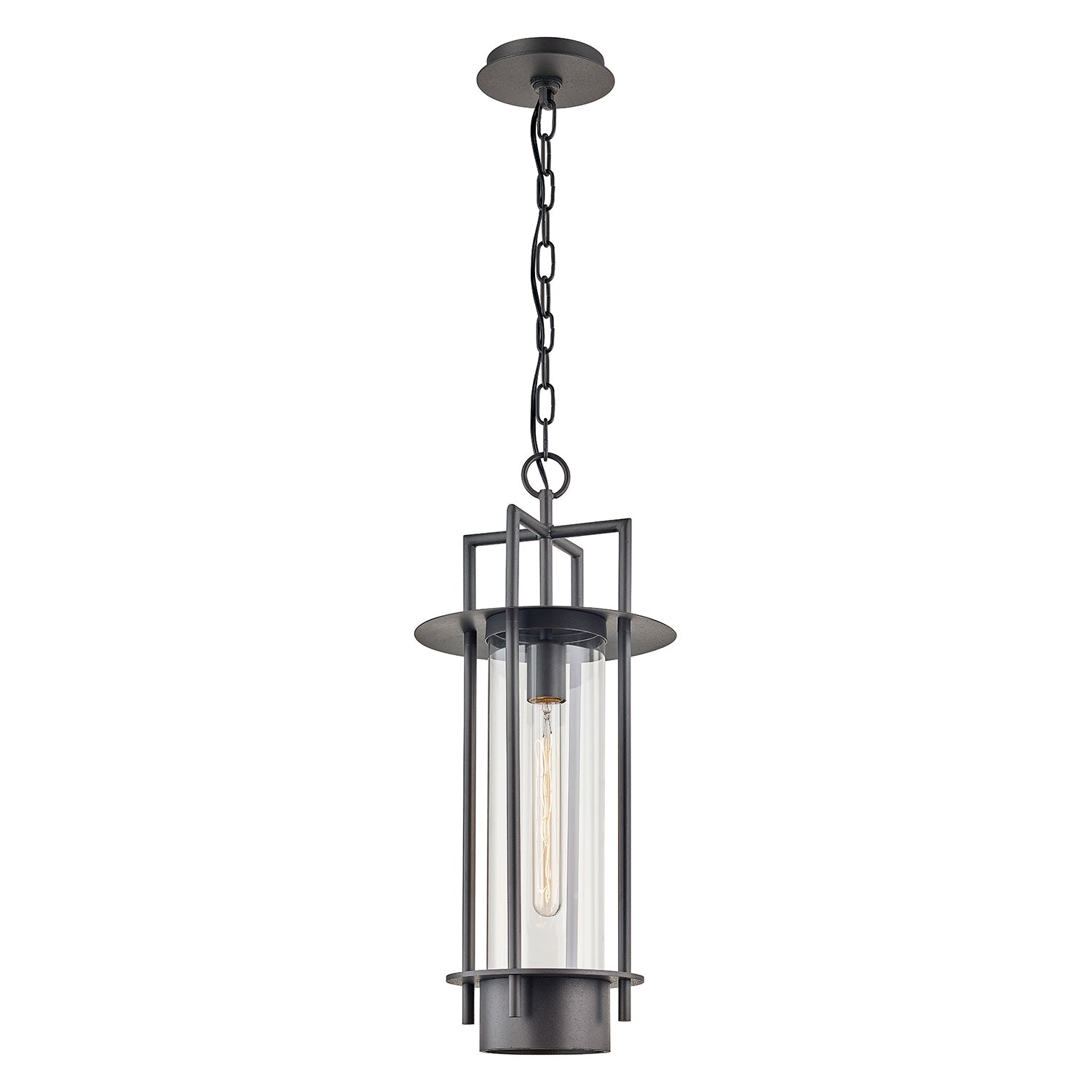 Troy Lighting Carroll Park Lantern