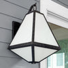 Brian Patrick Flynn For Crystorama Glacier White Glass 1-Light Outdoor Wall Sconce