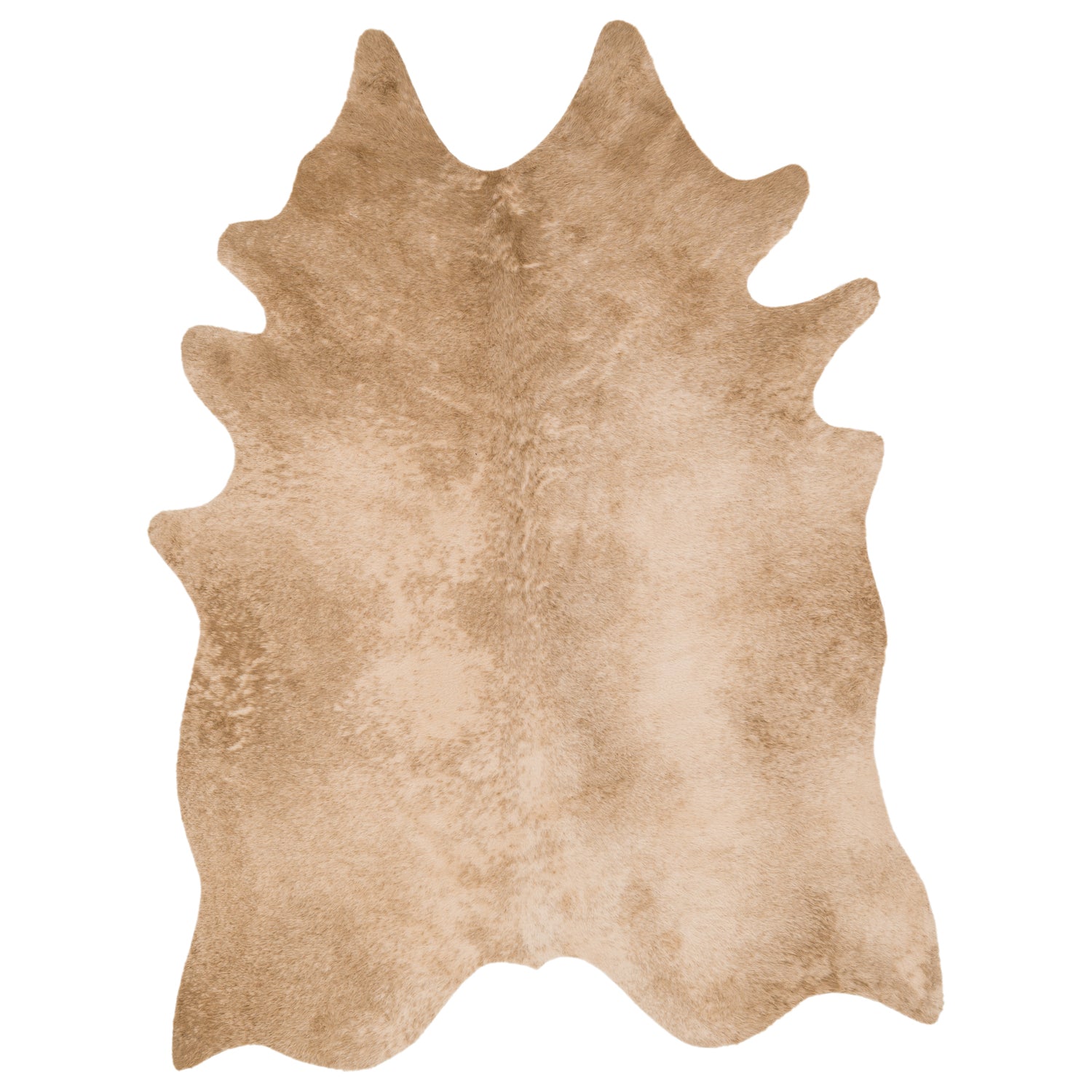 Loloi Grand Canyon Tan Power Loomed Rug