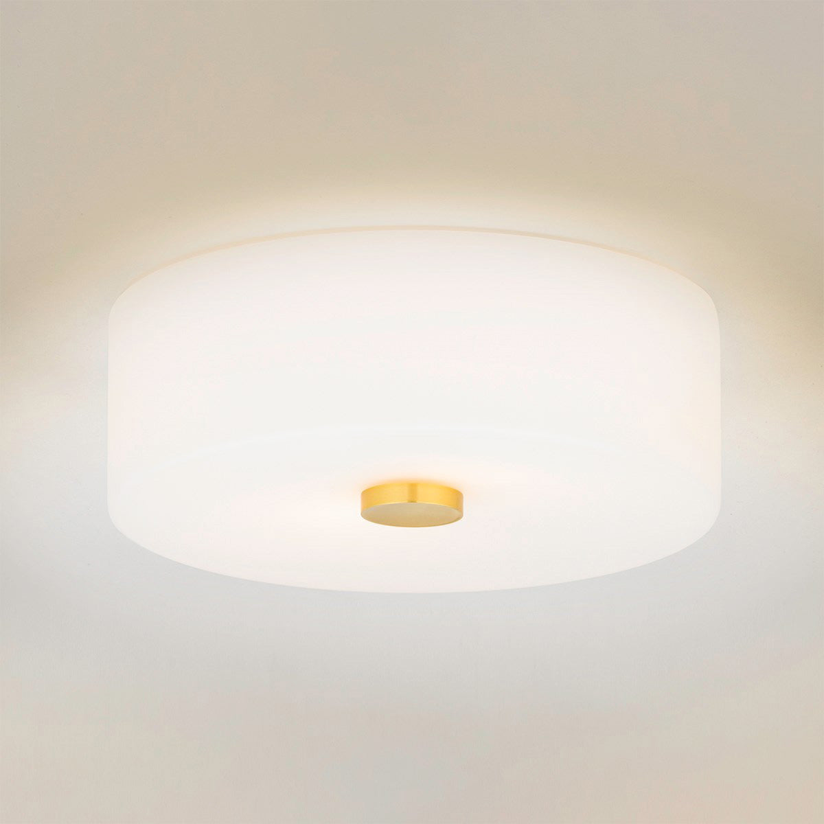 Mitzi Sophie Flush Ceiling Mount