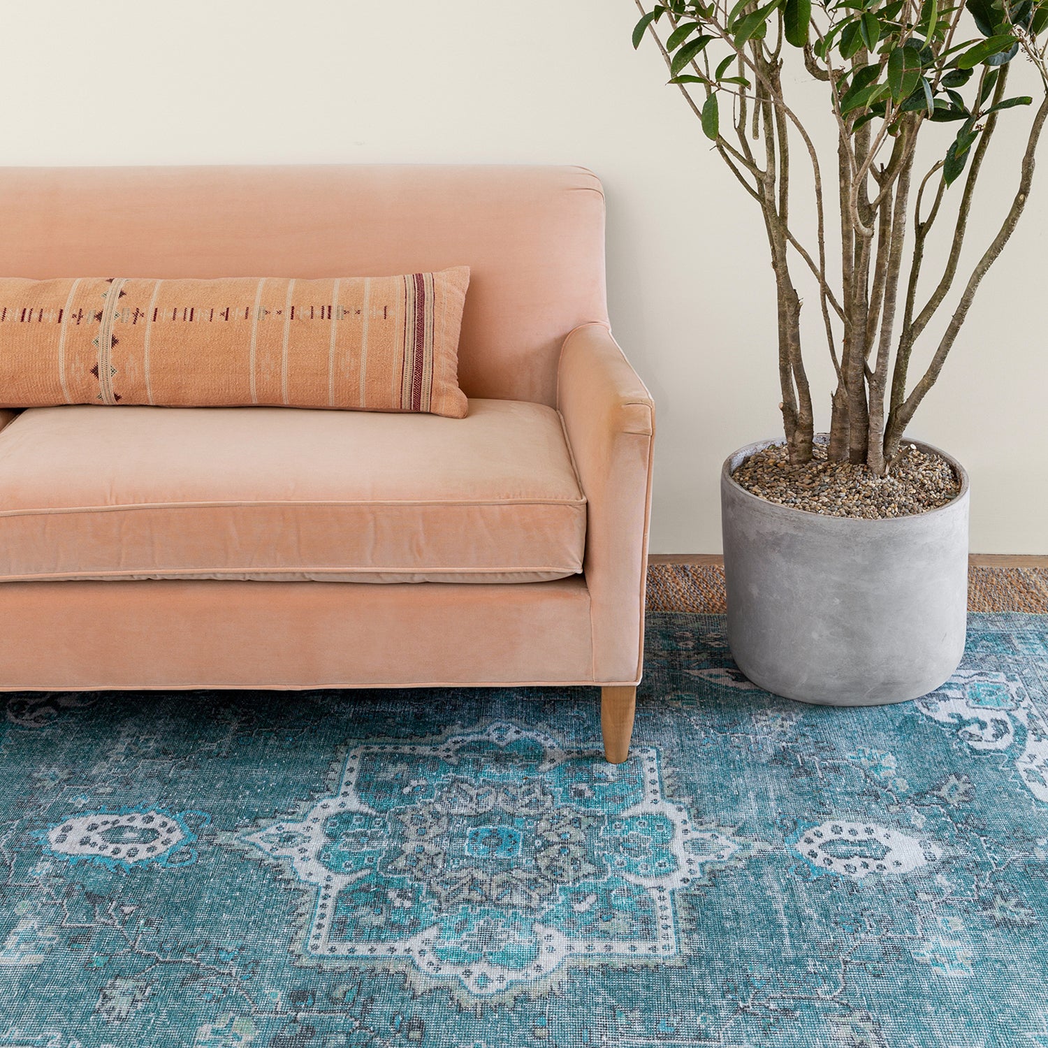 Kate Lester + Jaipur Living Harman Tamara Power Loomed Rug