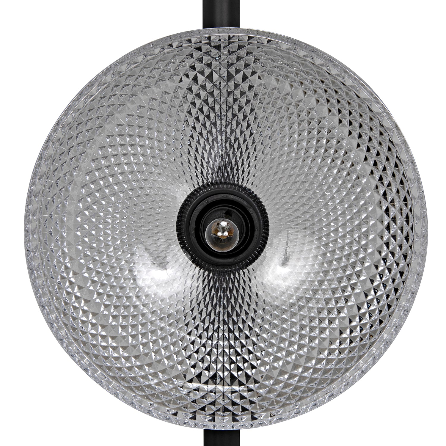 Noir Natilus Floor Lamp