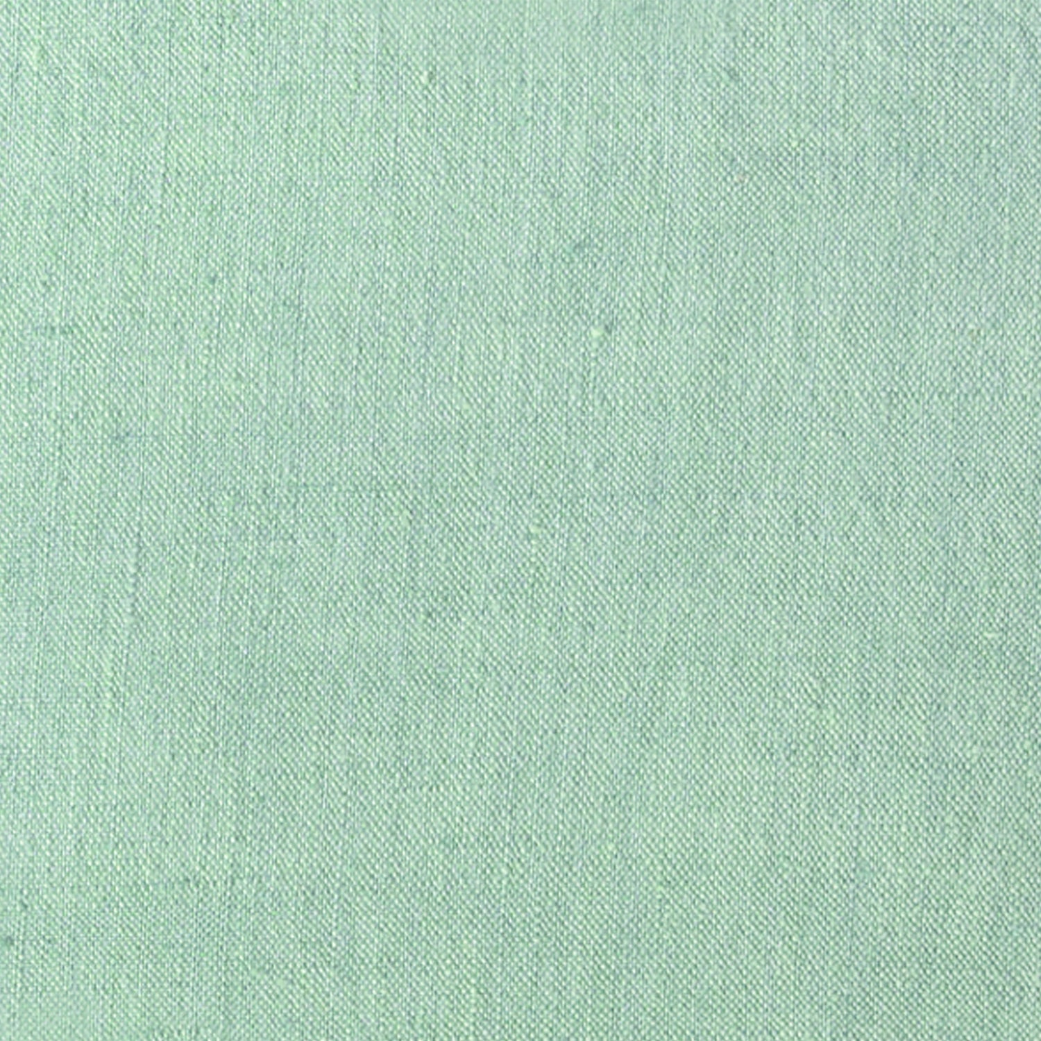 Anaya So Soft Mint Green Throw Pillow