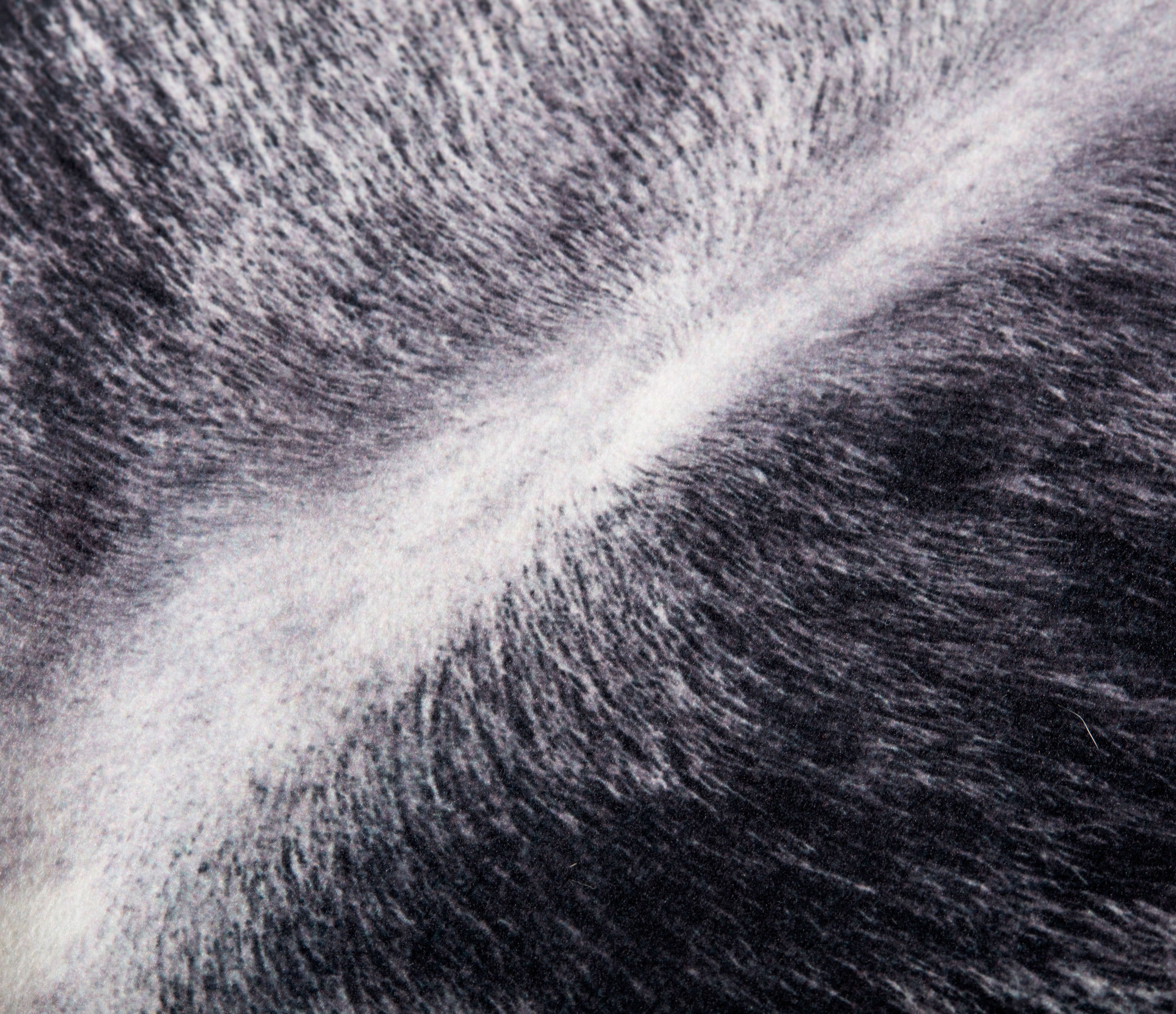 Loloi Billings Throw Pillow Set of 2