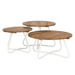 Porter Outdoor Coffee Table Set of 3