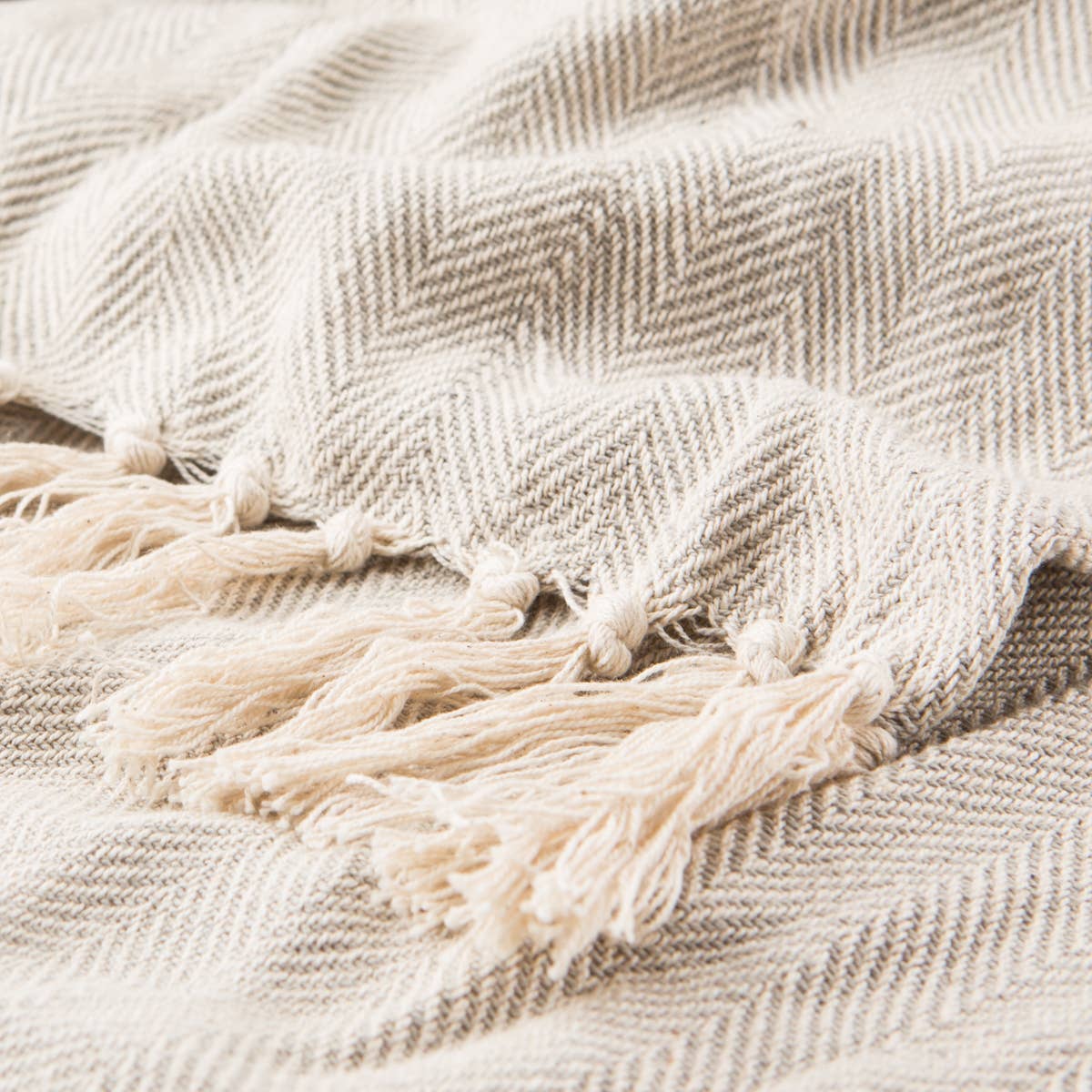 Jaipur Living Seabreeze Throw Blanket