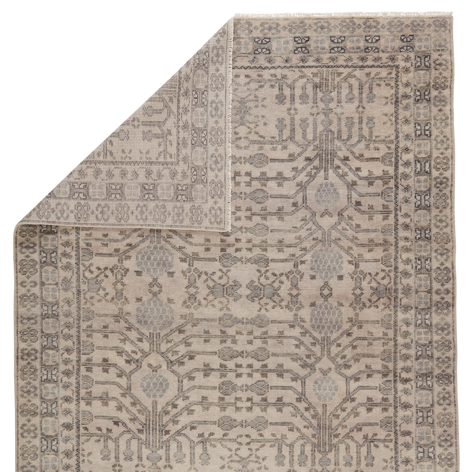 Jaipur Living Salinas Cosimo Hand Knotted Rug