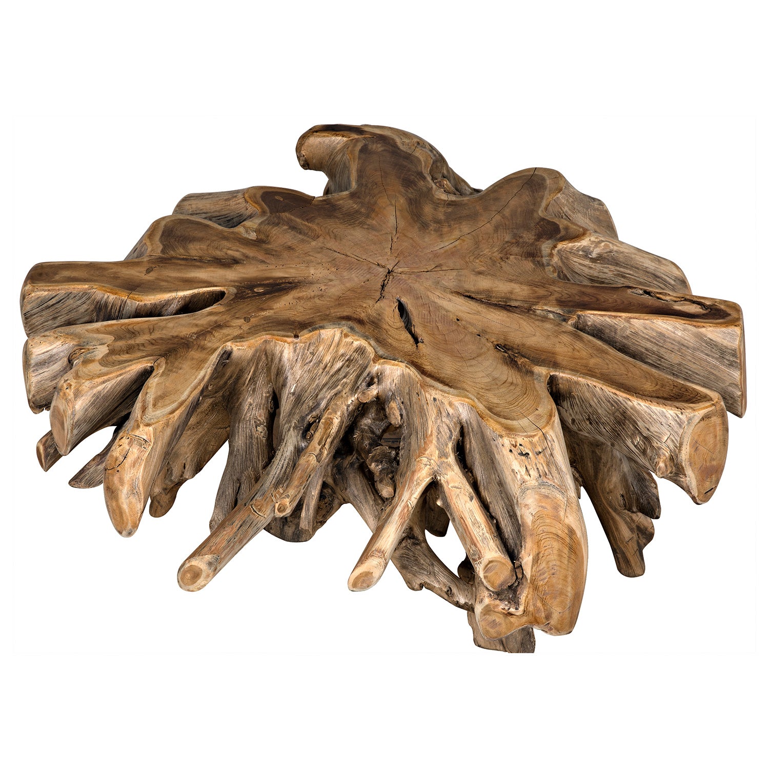 Noir Teak Root Coffee Table