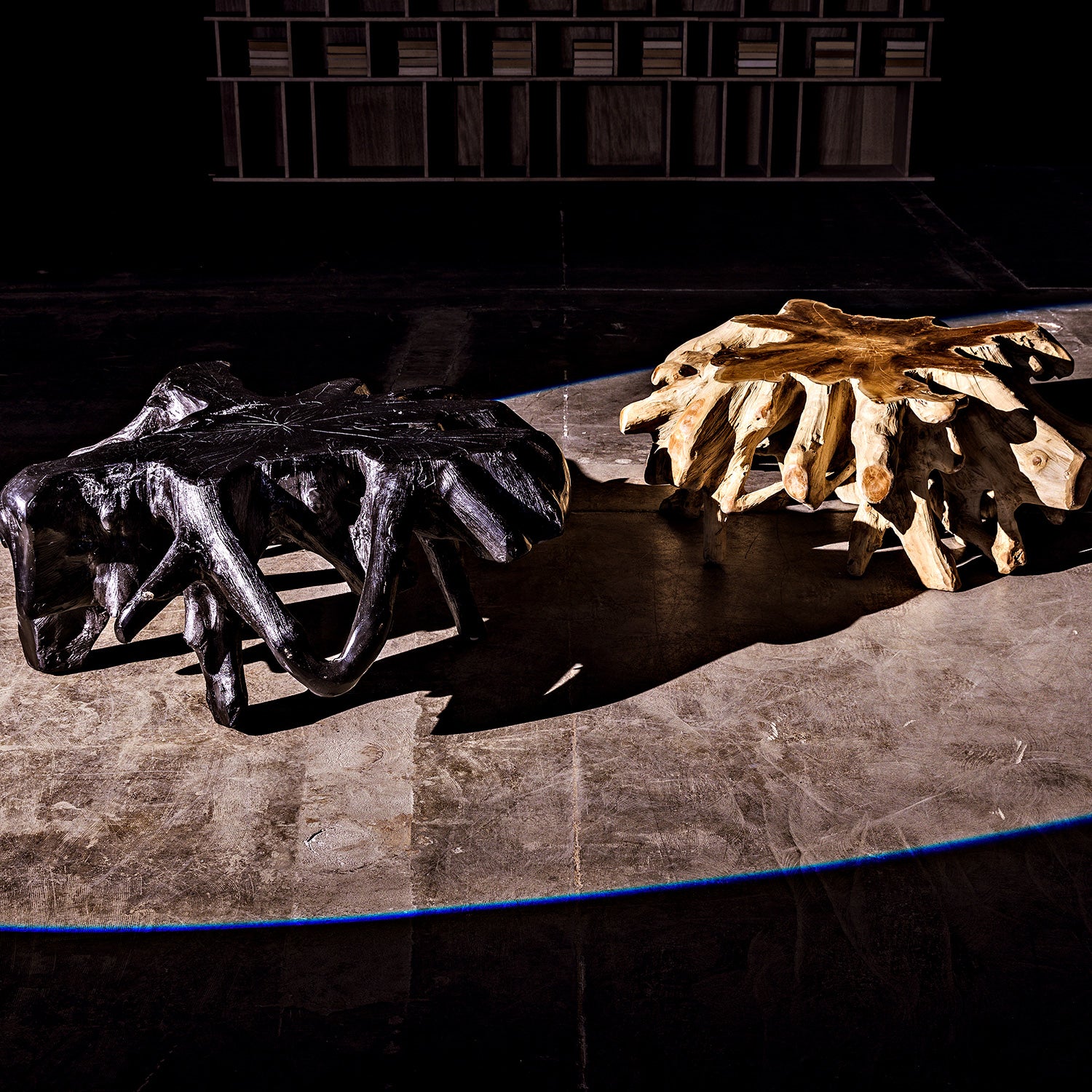 Noir Teak Root Coffee Table